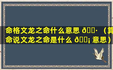 命格文龙之命什么意思 🌷 （算命说文龙之命是什么 🐡 意思）